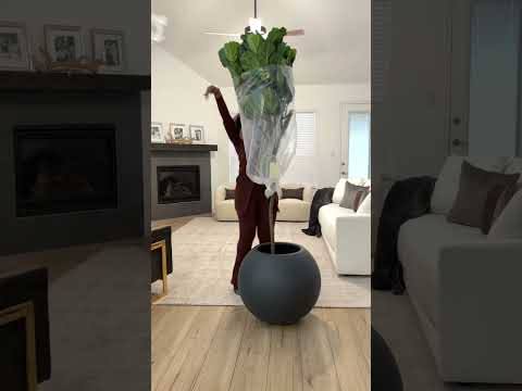 How To Choose And Present A Bouquet Of Flowers For Birthday By Flowers And Festivities